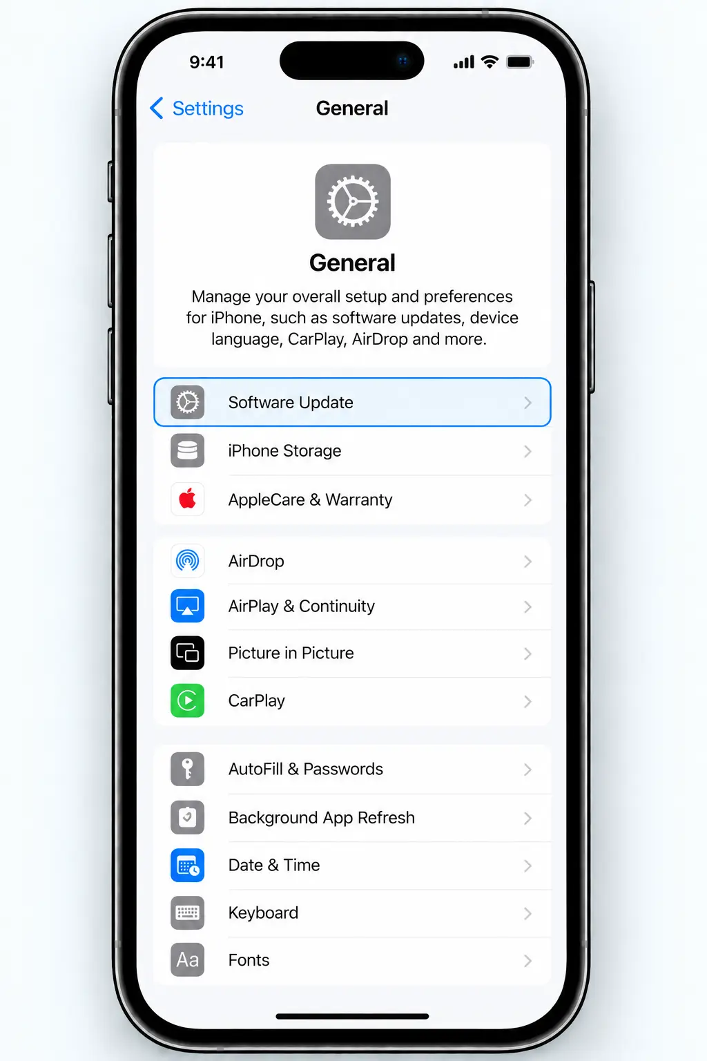 iPhone General settings showing the Software Update option